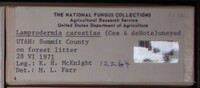 Image Associated With the Occurence